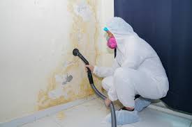 Best Black Mold Removal in Clear Lake, WI